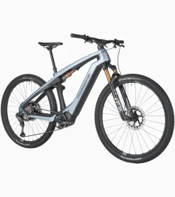 Porsche Ebike Cross Performance