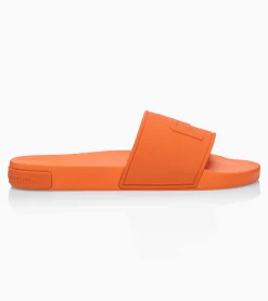 Slides